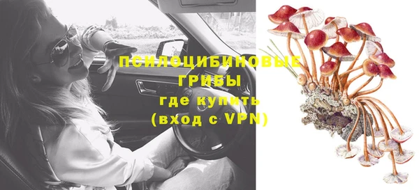 ECSTASY Кукмор