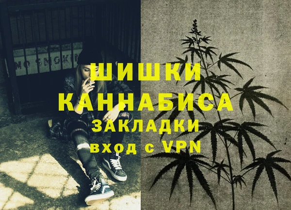 ECSTASY Кукмор