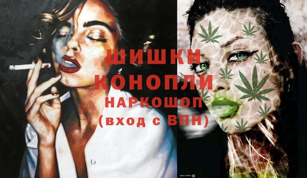 ECSTASY Кукмор