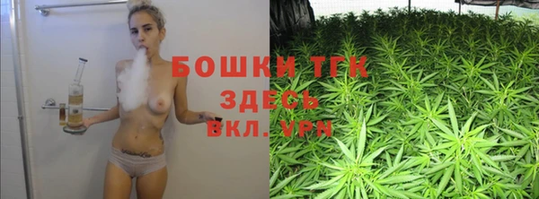 ECSTASY Кукмор