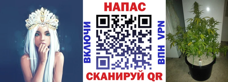 маркетплейс состав  Юрьевец  Бошки Шишки AK-47  что такое наркотик 